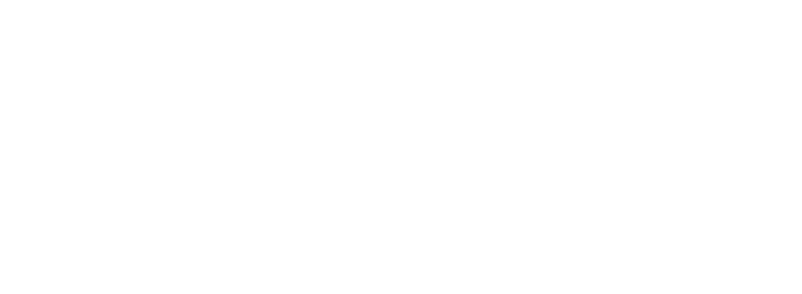 logo messina