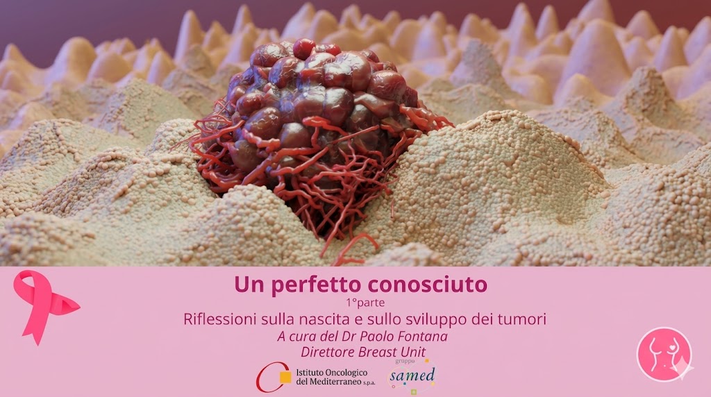 Un perfetto conosciuto - 1° parte