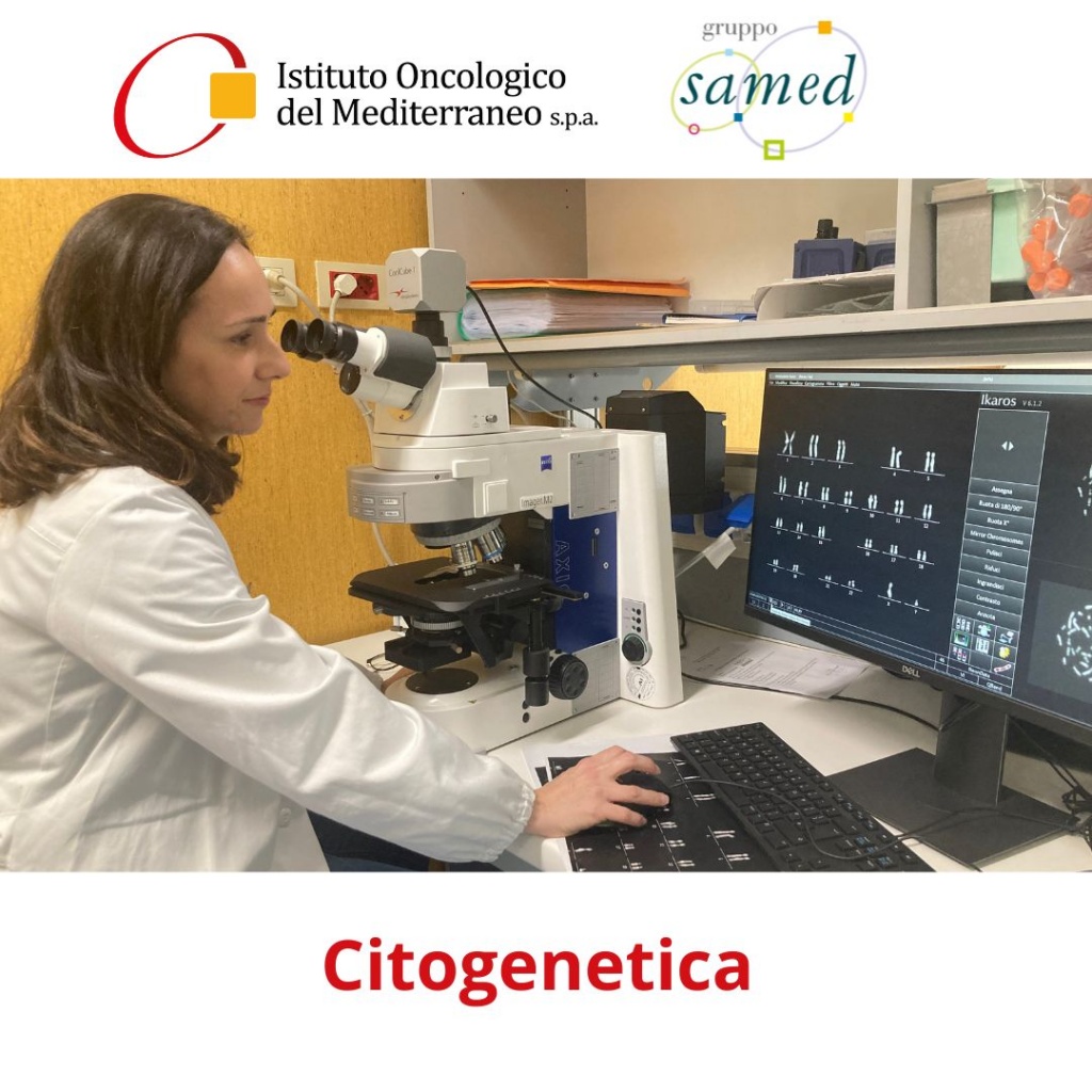 Citogenetica