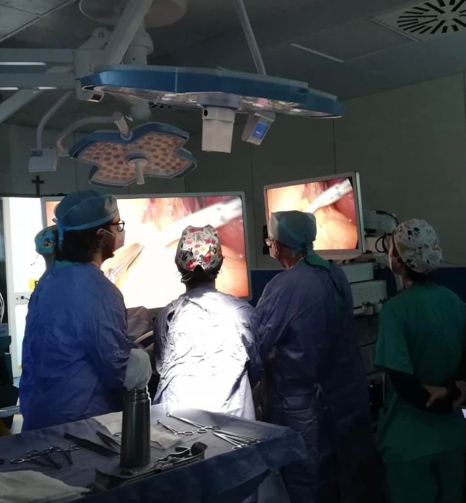 Convegno internazionale di chirurgia dell’apparato digerente: Intervento in diretta dalla sala operatoria