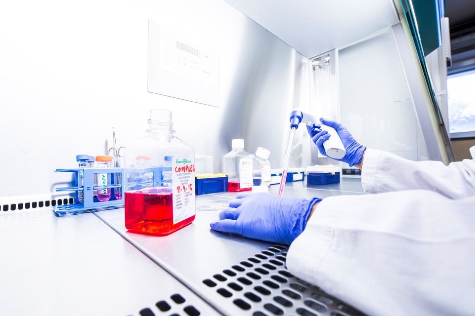 Laboratorio iom